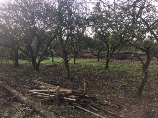 The orchard has now been cleared and is being leveled